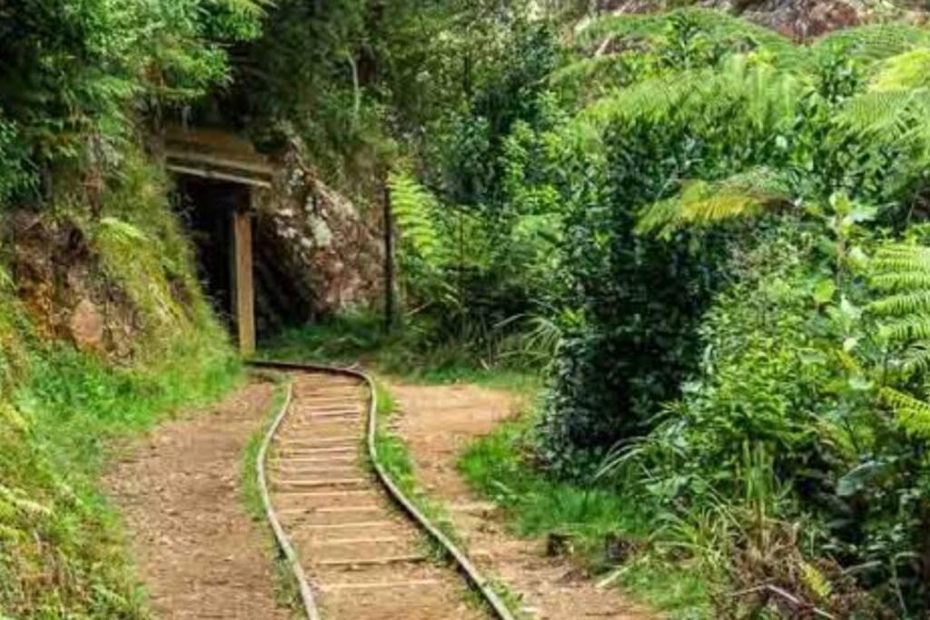 Crown Ridge Miners Cottage Karangahake Esterno foto