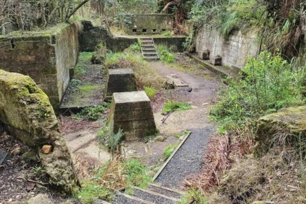 Crown Ridge Miners Cottage Karangahake Esterno foto